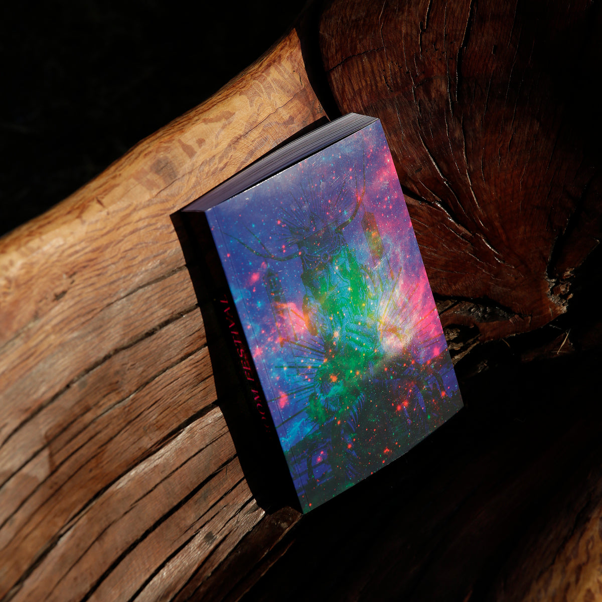 Boom Festival 20 Years: A Visual and Oral History