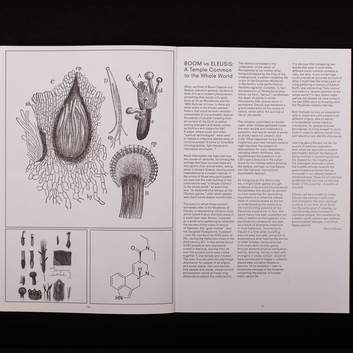 Boom Festival 20 Years: A Visual and Oral History