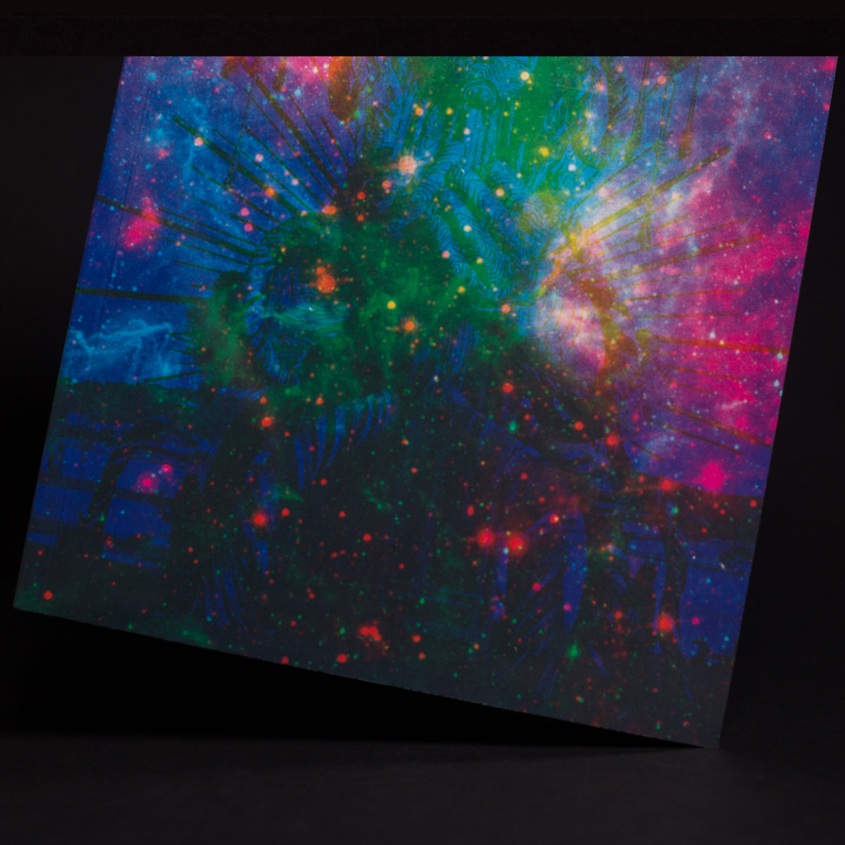 Boom Festival 20 Years: A Visual and Oral History